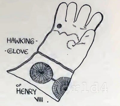 Hawking Glove of King Henry VIII. Medieval England fashion. Vintage Costumes. Nobility Accessoires Gloves. History of British Costume