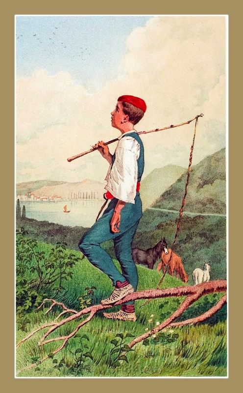 Boy from the surrounding area of Šibenik, Croatia 1870.