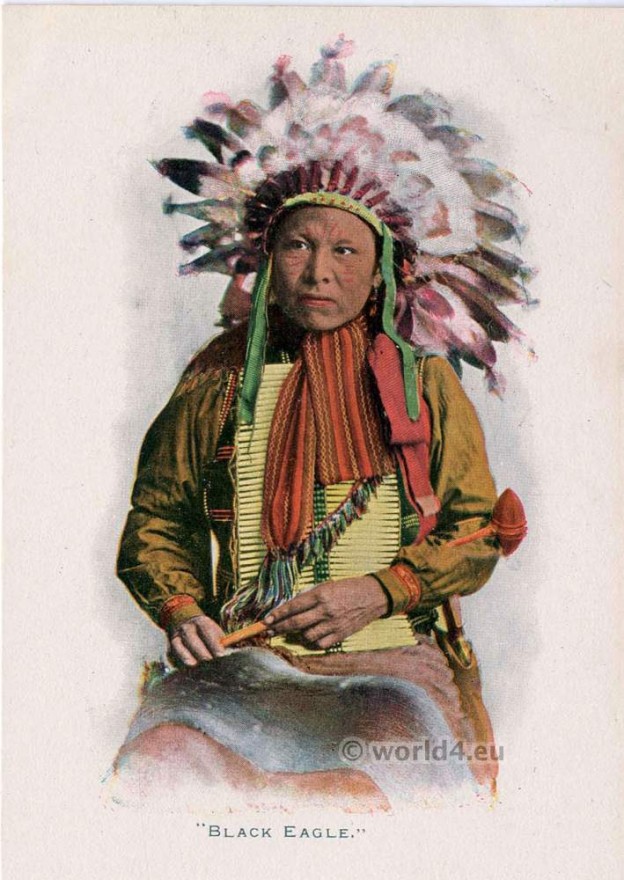 Sioux, Black, Eagle, feather, bonnet, Native, American,