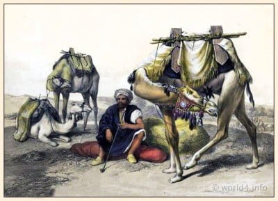 Camels Resting in the Sherkiyeh. The Oriental Album Traditional Arabian costume. Camels Resting in the Sherkiyeh