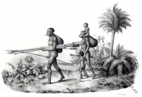 Botocudos Brazil. Aimoré or Nac-nanuk tribe.