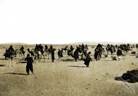 Russian Pilgrims in the Desert on the Way to Sinai in the Holy Land.