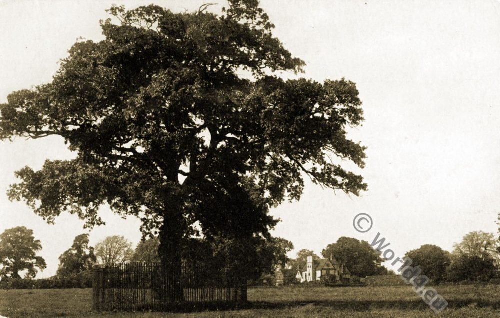 Boscobel, Royal, Oak, King, Charles II,