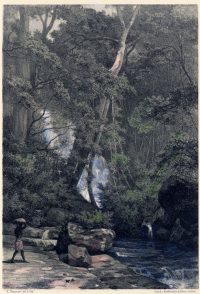 At the Cascade in the rainforest near Lemastota. Sri Lanka 19th century.