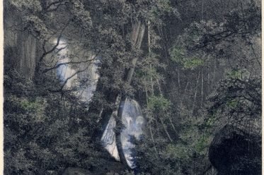 national, park, Sri Lanka, Cascade, Forest,