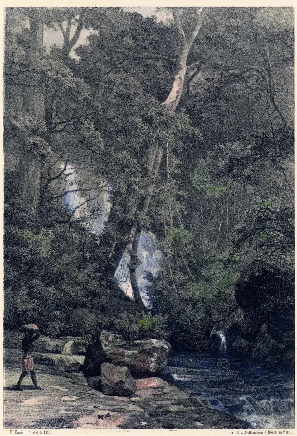 national, park, Sri Lanka, Cascade, Forest,