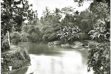 Java, Tropical, river, vegetation