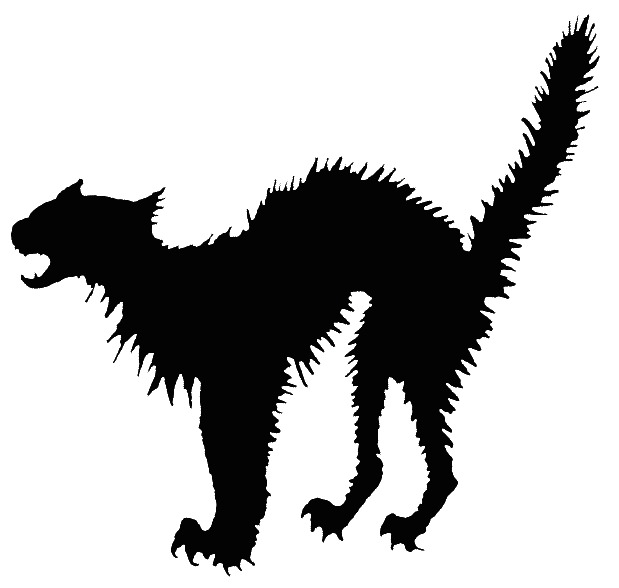 cat, angry, illustration,