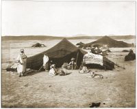 Camp of A Caravan on the Sahara Desert
