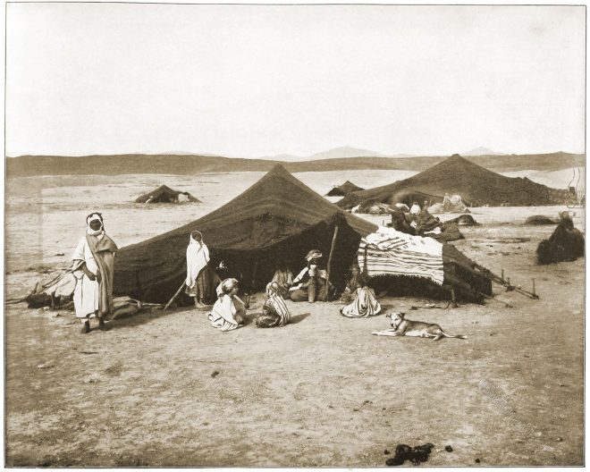 Camp, Caravan, Sahara, Desert, Stoddard,