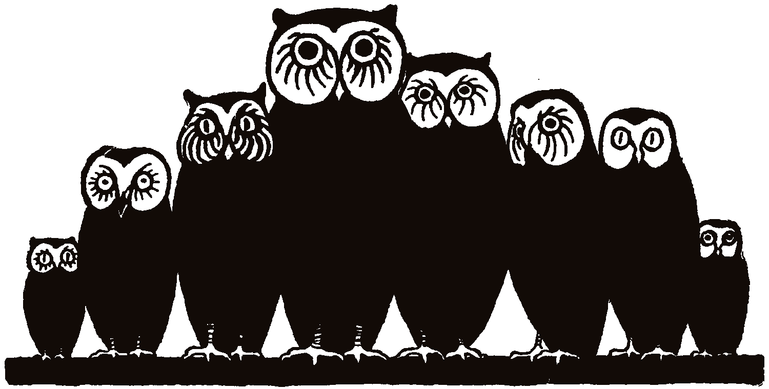 Felix Vallotton, owls, illustration, 